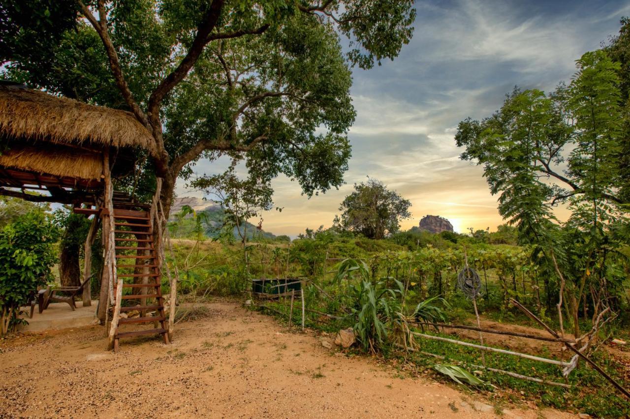 Sigiriya King'S Resort 外观 照片