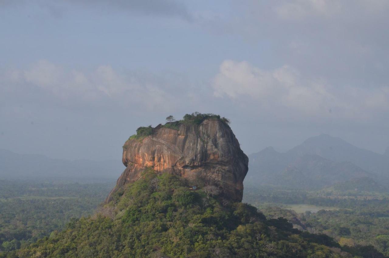Sigiriya King'S Resort 外观 照片