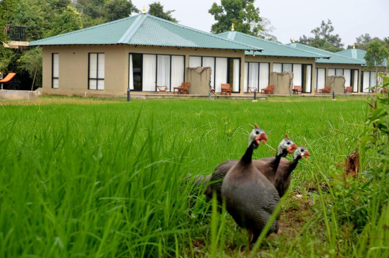 Sigiriya King'S Resort 外观 照片