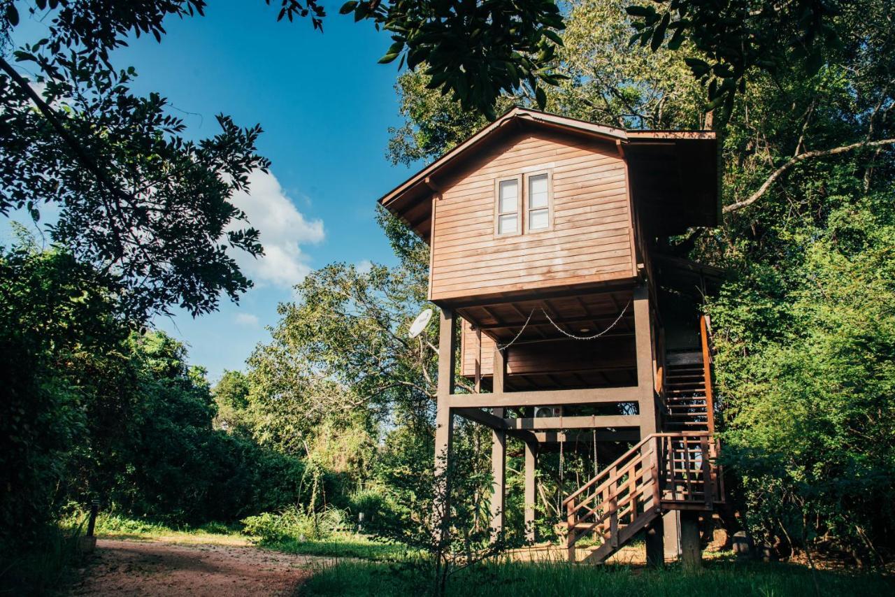 Sigiriya King'S Resort 外观 照片